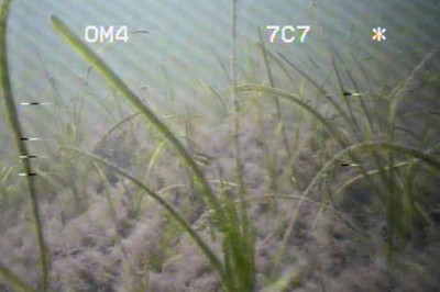 50 steder på Østlandet kan få krav om dyrt renseanlegg