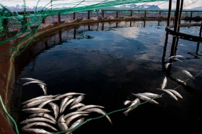 Hater regjeringen næringslivet?