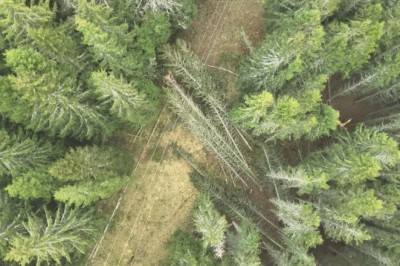 Fortsatt 10.000 uten strøm i Trøndelag søndag morgen