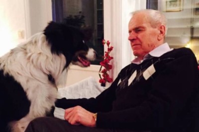 Kvinne dømt for å ha svindlet mann i 80-årene for 1,7 millioner