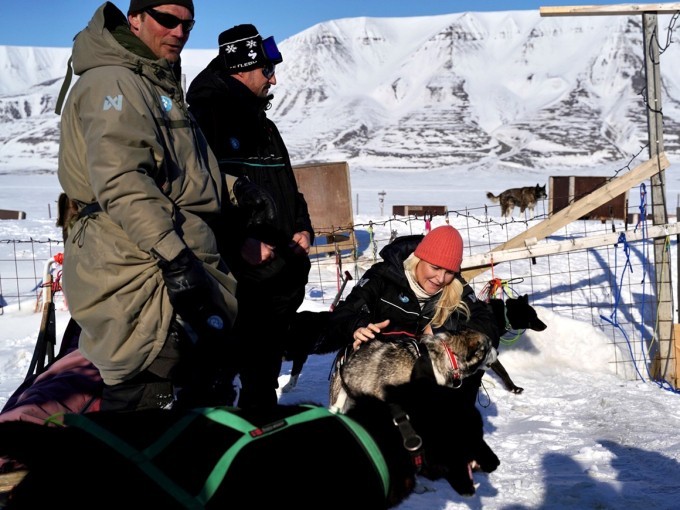 Det er 45 hunder i kennelen hos Arctic Husky Travellers. Foto: Sara Svanemyr, Det kongelige hoff
