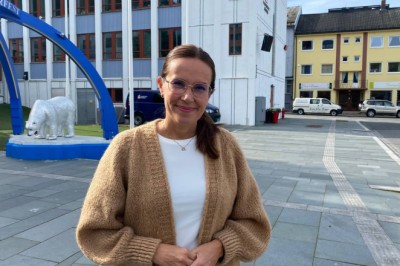 Stortingspolitiker tror ikke nye kraftlinjer vil ha noe å si for strømprisene i Sør-Norge