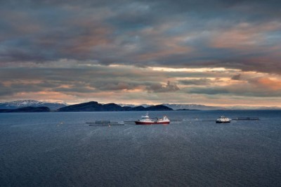 Staten vurderer å tvinge næringslivet til meir openheit