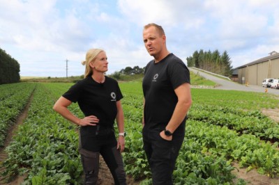 Strømkrisen: Bønder må destruere avlinger