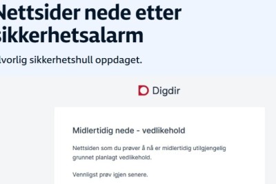 Nettsider nede etter sikkerhetsalarm Alvorlig sikkerhetshull oppdaget.